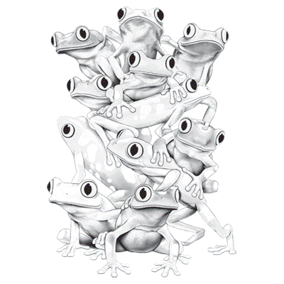Color Change Frogs